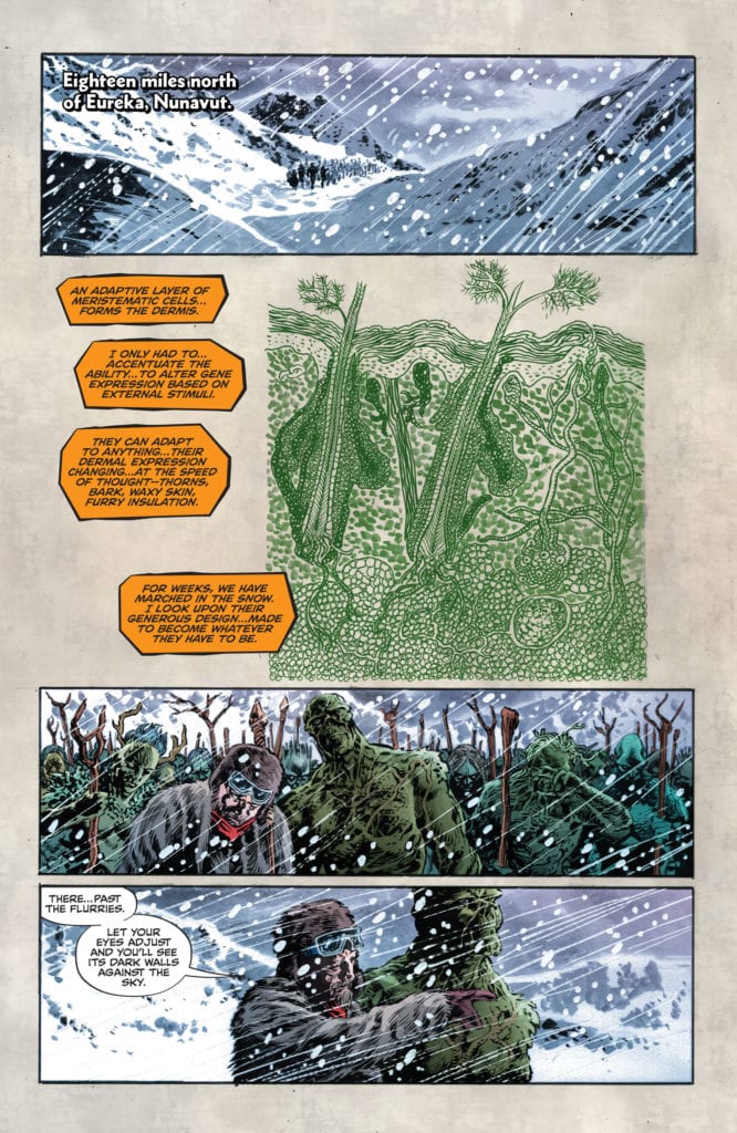 Swamp Thing V DC Comics